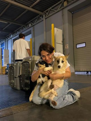 Stella and Tasha safely arrived in Canada